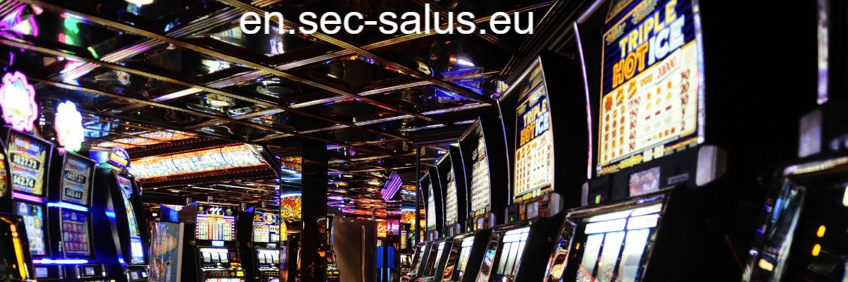 en.sec-salus.eu